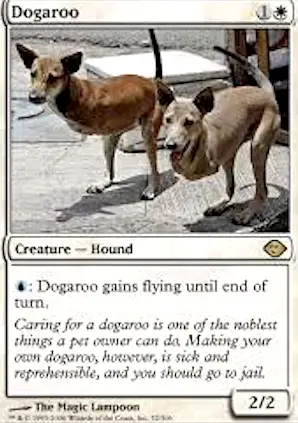 Modern Dogaroos in an Urban Landscape